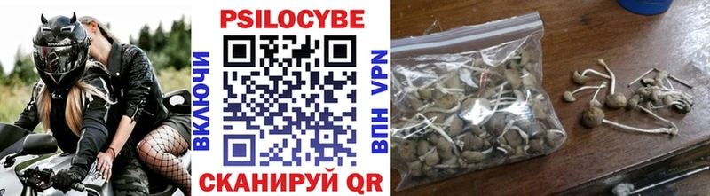 закладка  Алексеевка  Галлюциногенные грибы Psilocybe 
